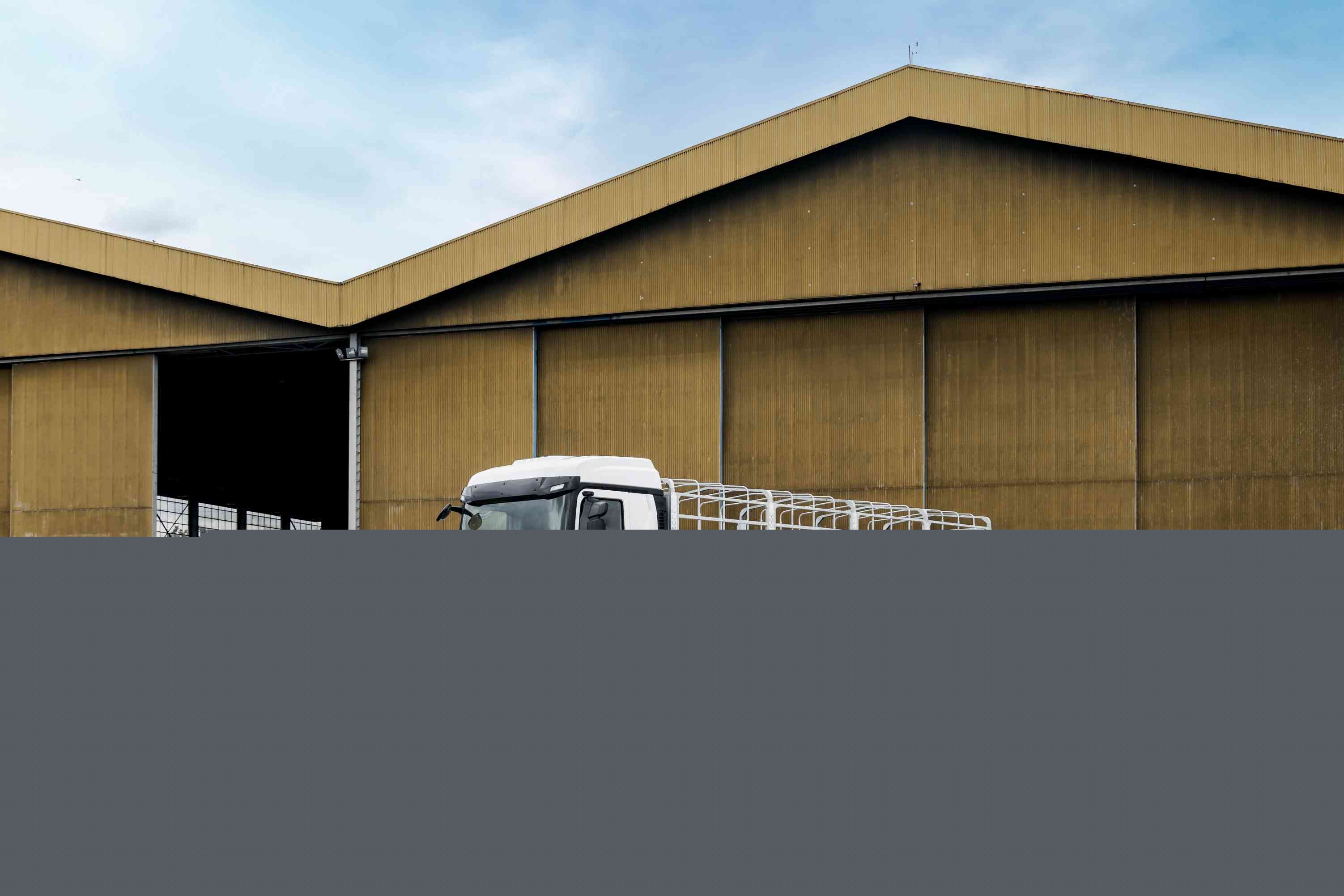 HOWO-MAX 8x4 cargo (3)